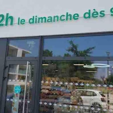 Toulouse Vaste Appartement Tres Lumineux Eksteriør billede